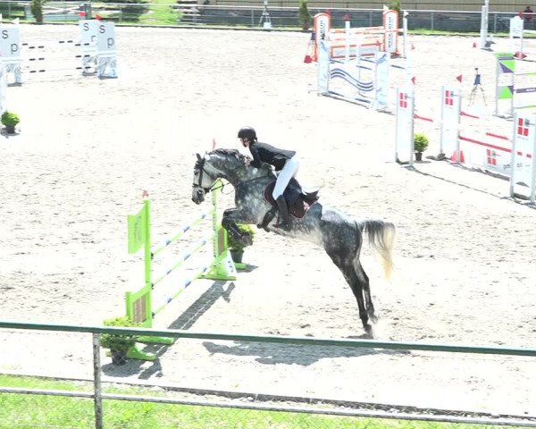 Reitturnier Schaffhausen 2021