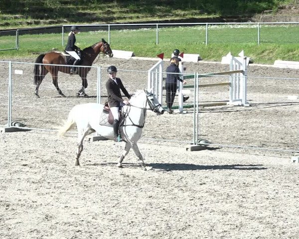 Reitturnier Schaffhausen 2021
