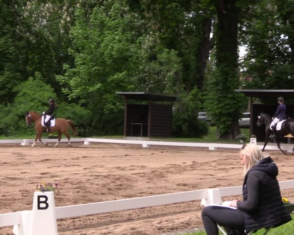 Reitturnier Königsborn 2021