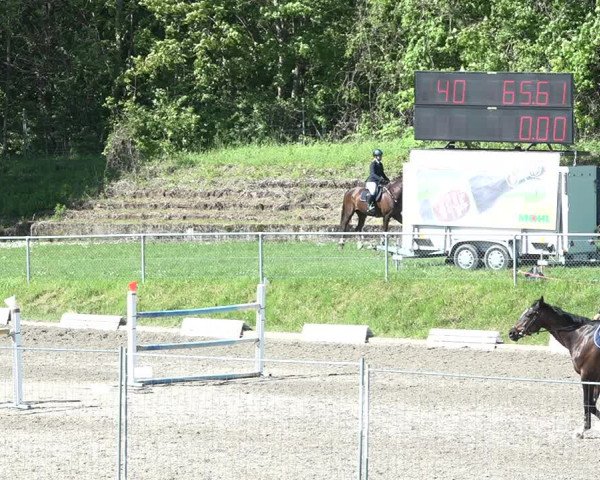 Reitturnier Schaffhausen 2021