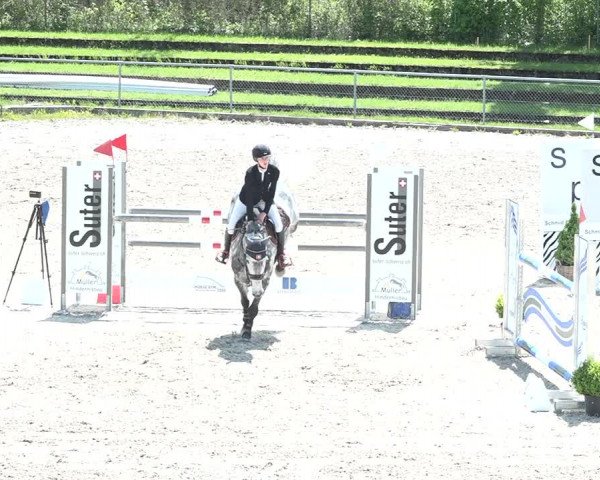 Reitturnier Schaffhausen 2021
