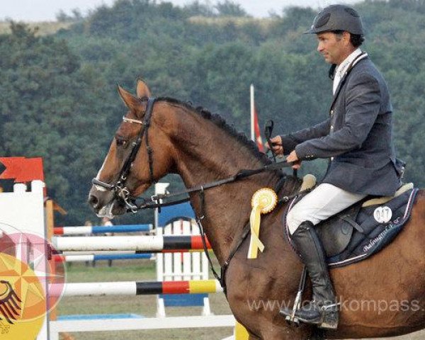 Deckhengst Balougraf Esc (Holsteiner, 2006, von Baloubet du Rouet)