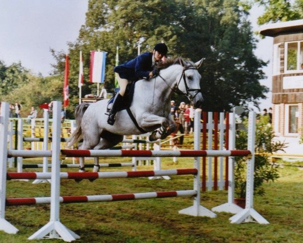 broodmare Kora Lee (Saxony-Anhaltiner, 1993, from Kolibri 2705)