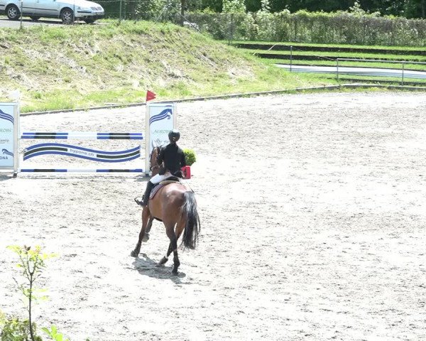 Reitturnier Schaffhausen 2021
