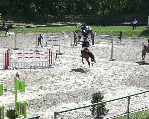 Reitturnier Schaffhausen 2021