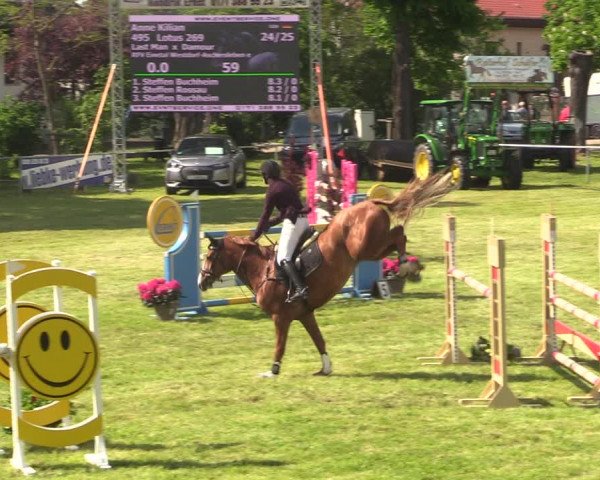 Reitturnier Königsborn 2021