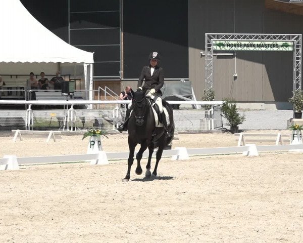 Reitturnier Dielsdorf, Horsepark 2021