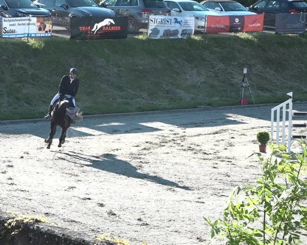 Reitturnier Schaffhausen 2021