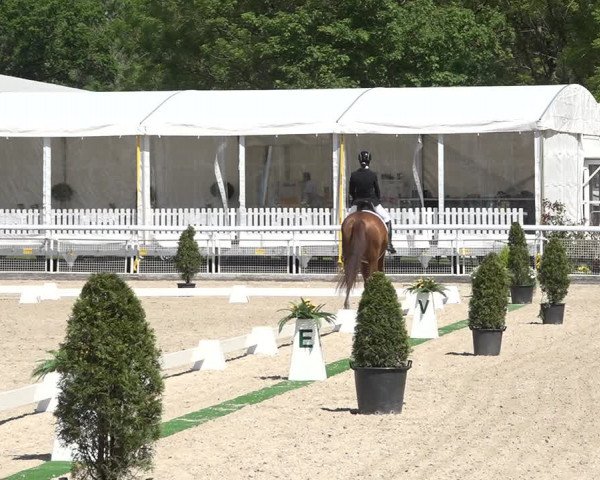 Reitturnier Dielsdorf, Horsepark 2021