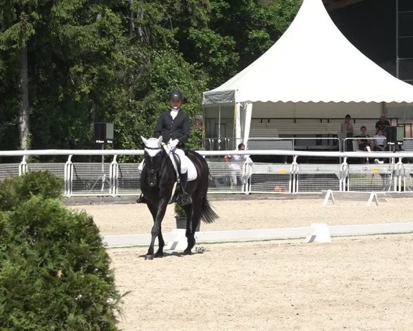 Reitturnier Dielsdorf, Horsepark 2021