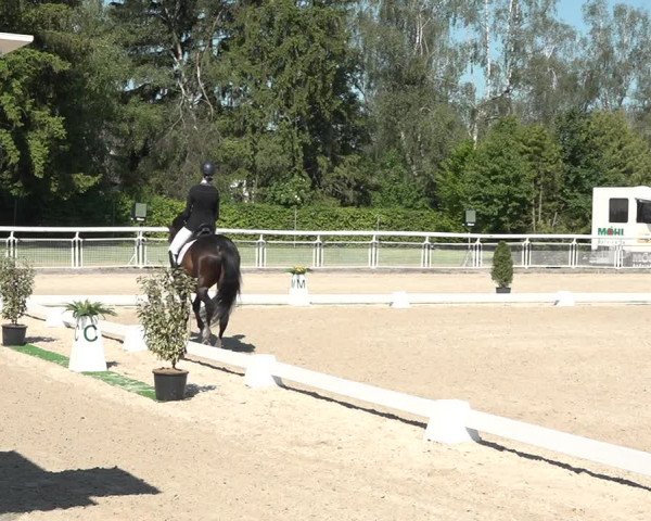 Reitturnier Dielsdorf, Horsepark 2021