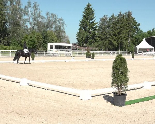 Reitturnier Dielsdorf, Horsepark 2021