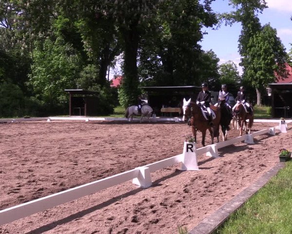 Reitturnier Königsborn 2021