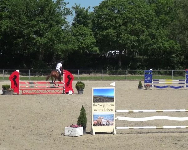 Reitturnier Langenfeld - Gut Langfort 2021