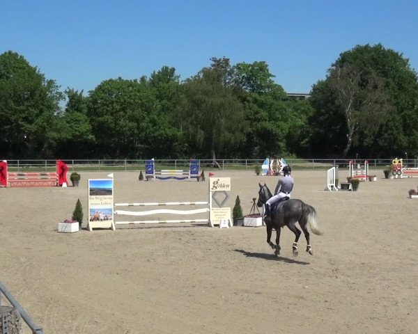 Reitturnier Langenfeld - Gut Langfort 2021