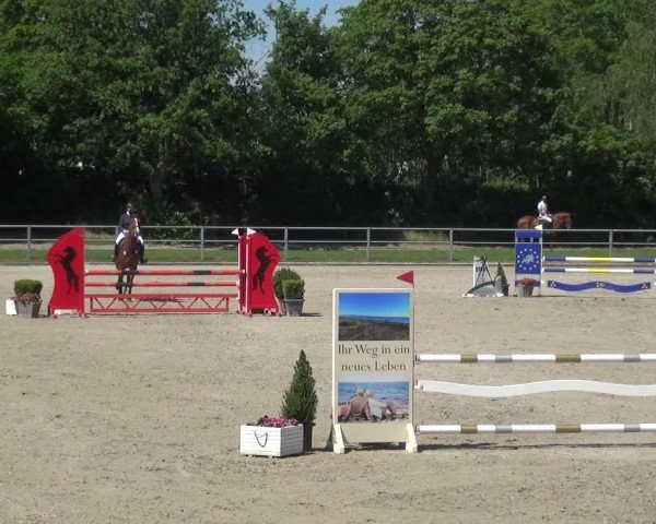 Reitturnier Langenfeld - Gut Langfort 2021
