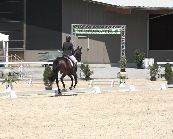 Reitturnier Dielsdorf, Horsepark 2021
