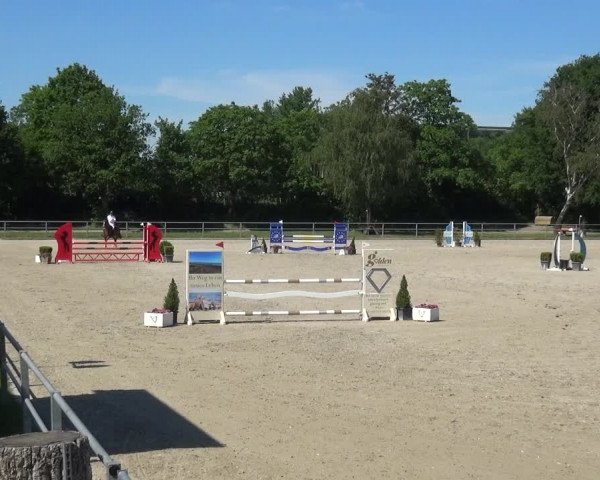 Reitturnier Langenfeld - Gut Langfort 2021