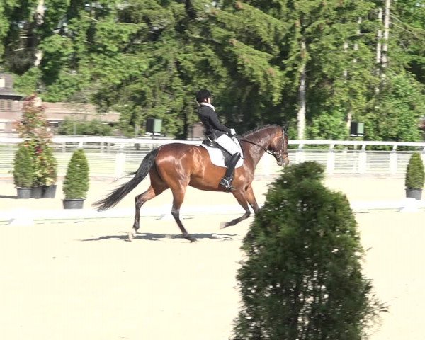 Reitturnier Dielsdorf, Horsepark 2021