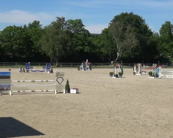 Reitturnier Langenfeld - Gut Langfort 2021