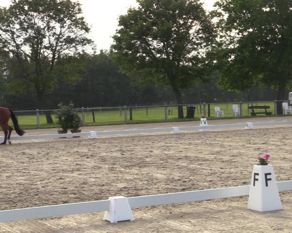Reitturnier Nienberge-Schonebeck 2021