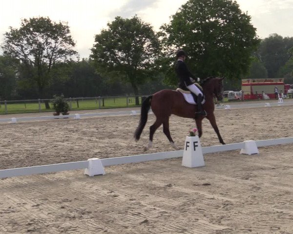 Reitturnier Nienberge-Schonebeck 2021