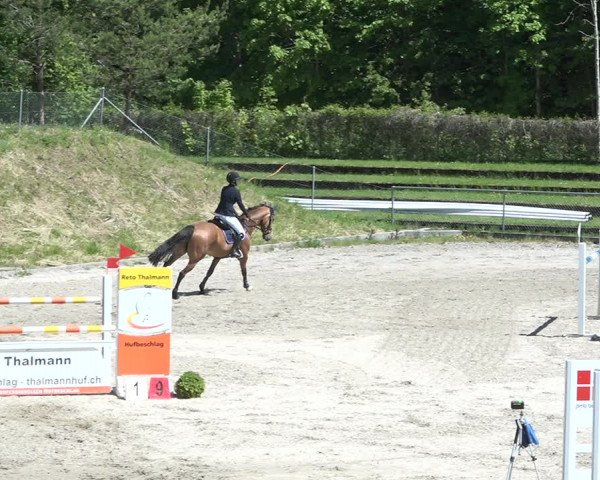 Reitturnier Schaffhausen 2021