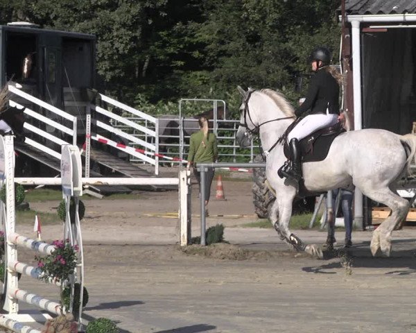 Reitturnier Neunkirchen-City 2021