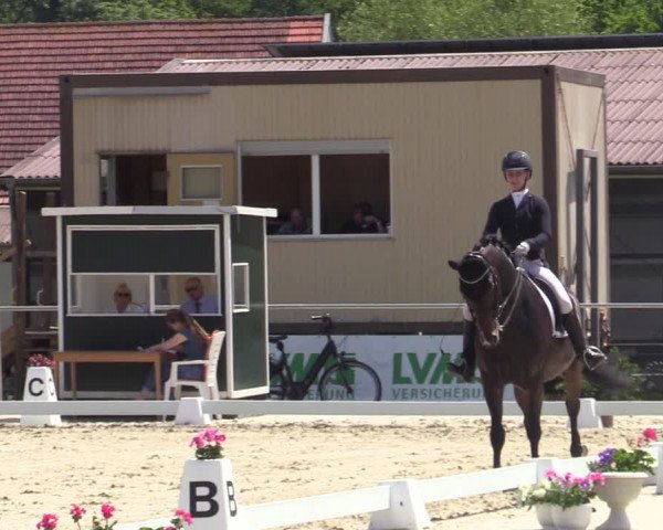 Reitturnier Nienberge-Schonebeck 2021