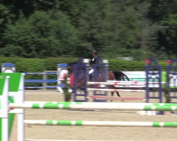 Reitturnier Münster-Handorf 2021