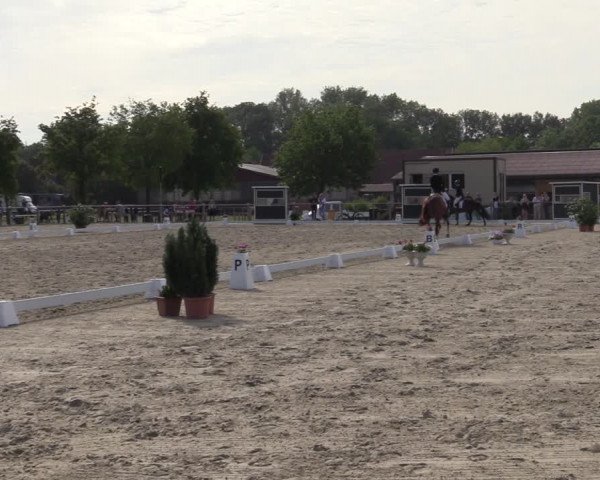 Reitturnier Nienberge-Schonebeck 2021