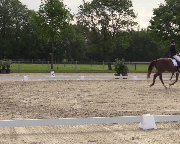 Reitturnier Nienberge-Schonebeck 2021