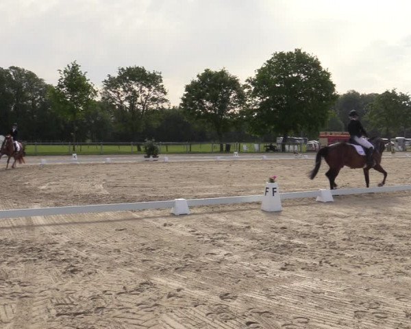 Reitturnier Nienberge-Schonebeck 2021