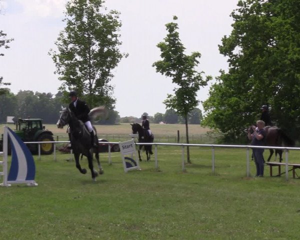 Reitturnier Großwoltersdorf 2021
