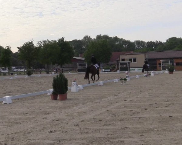 Reitturnier Nienberge-Schonebeck 2021