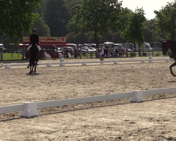 Reitturnier Nienberge-Schonebeck 2021