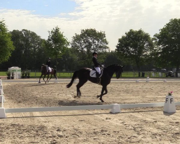 Reitturnier Nienberge-Schonebeck 2021