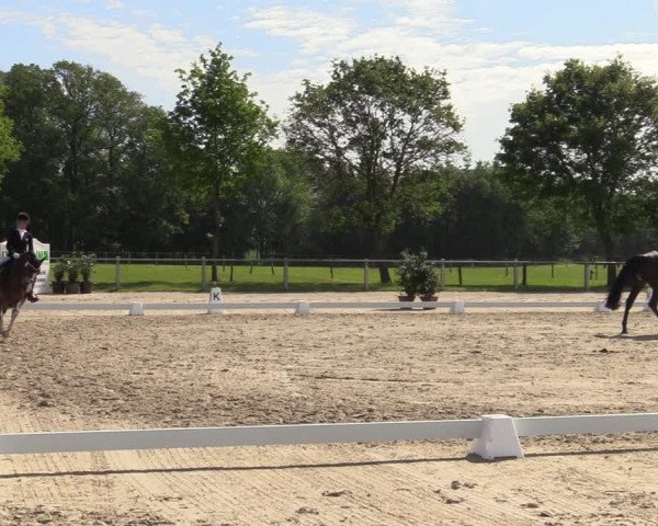 Reitturnier Nienberge-Schonebeck 2021