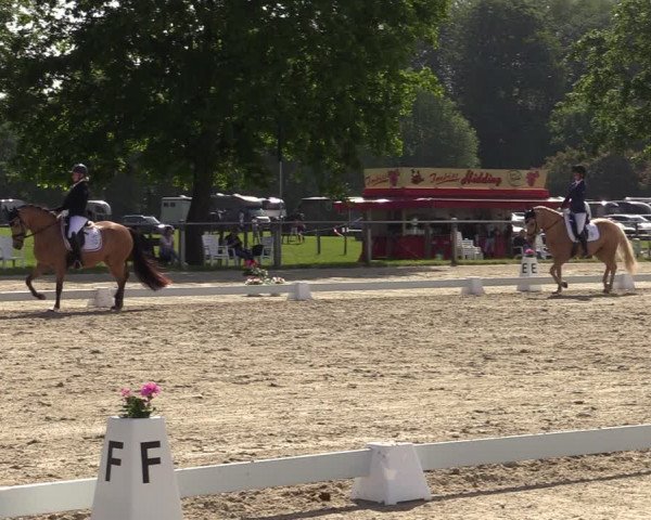 Reitturnier Nienberge-Schonebeck 2021