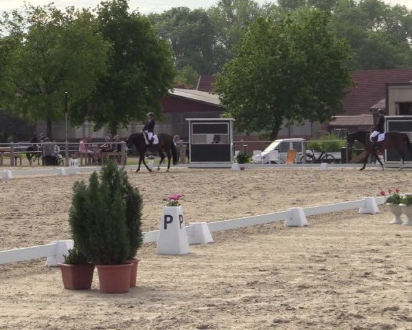 Reitturnier Nienberge-Schonebeck 2021