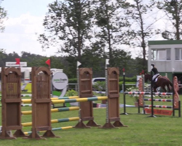 Reitturnier Großwoltersdorf 2021