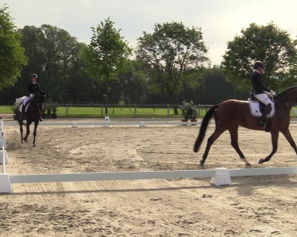 Reitturnier Nienberge-Schonebeck 2021