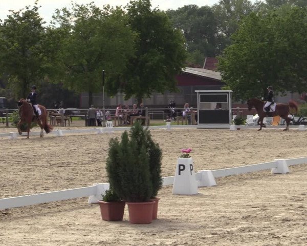 Reitturnier Nienberge-Schonebeck 2021