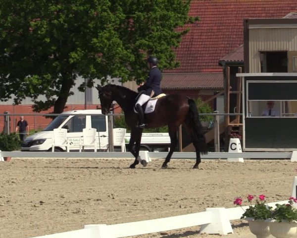 Reitturnier Nienberge-Schonebeck 2021