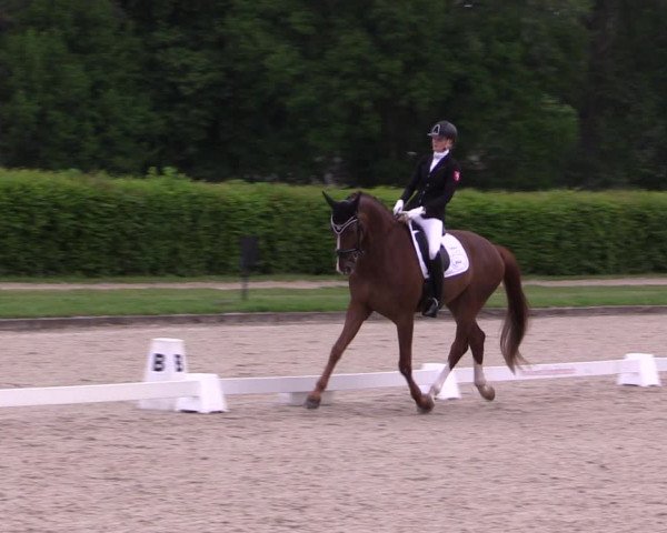 Reitturnier Münster-Handorf 2021