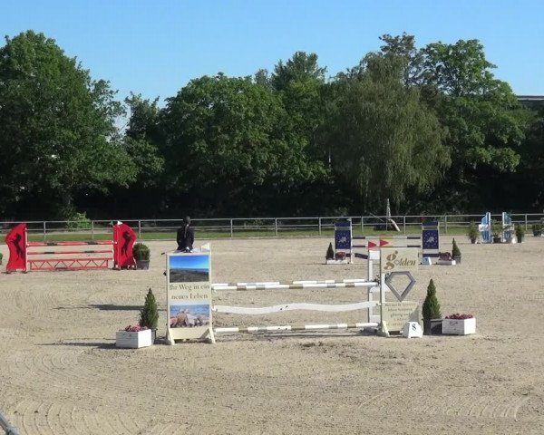 Reitturnier Langenfeld - Gut Langfort 2021