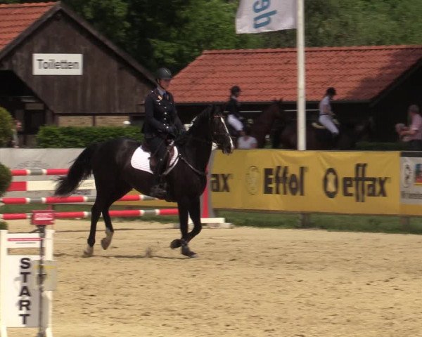 Reitturnier Münster-Handorf 2021