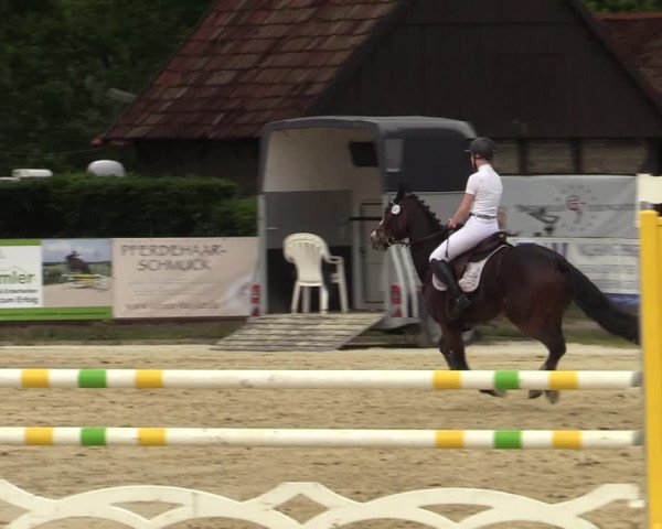 Reitturnier Münster-Handorf 2021