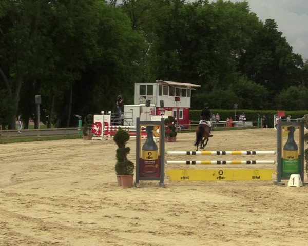 Reitturnier Münster-Handorf 2021