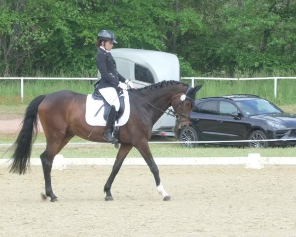 Reitturnier Heiligenwald 2021